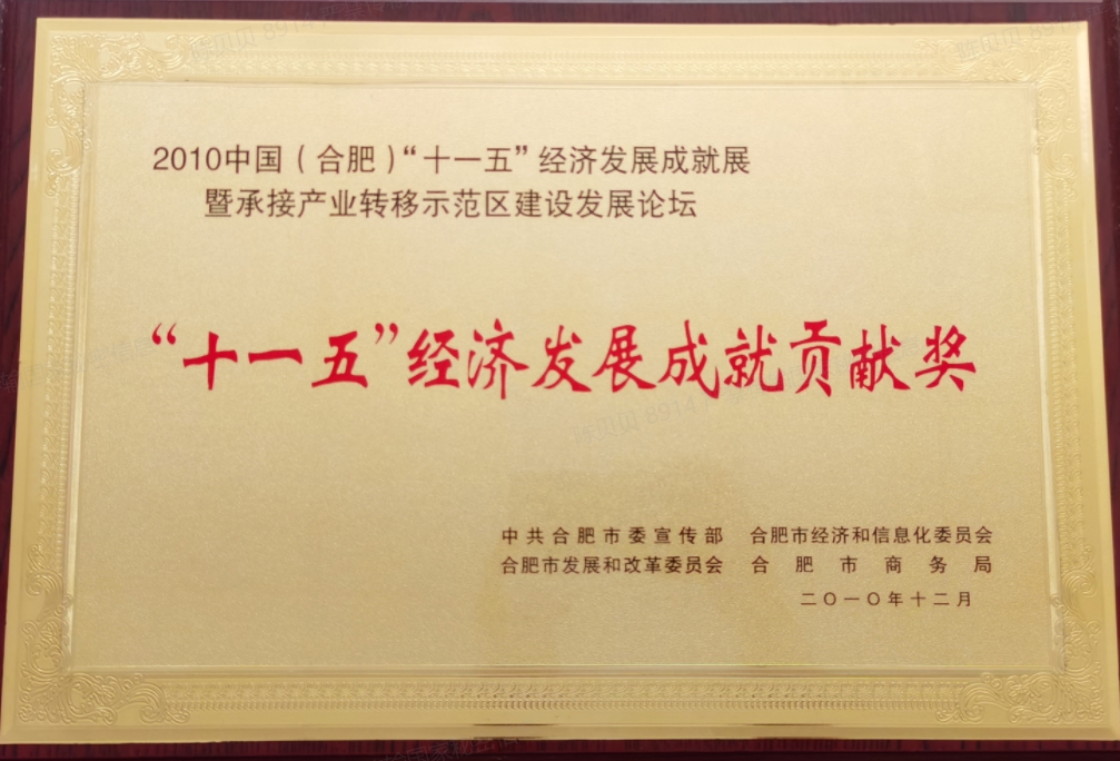 “十一五”經濟發(fā)展成就貢獻獎（2010）